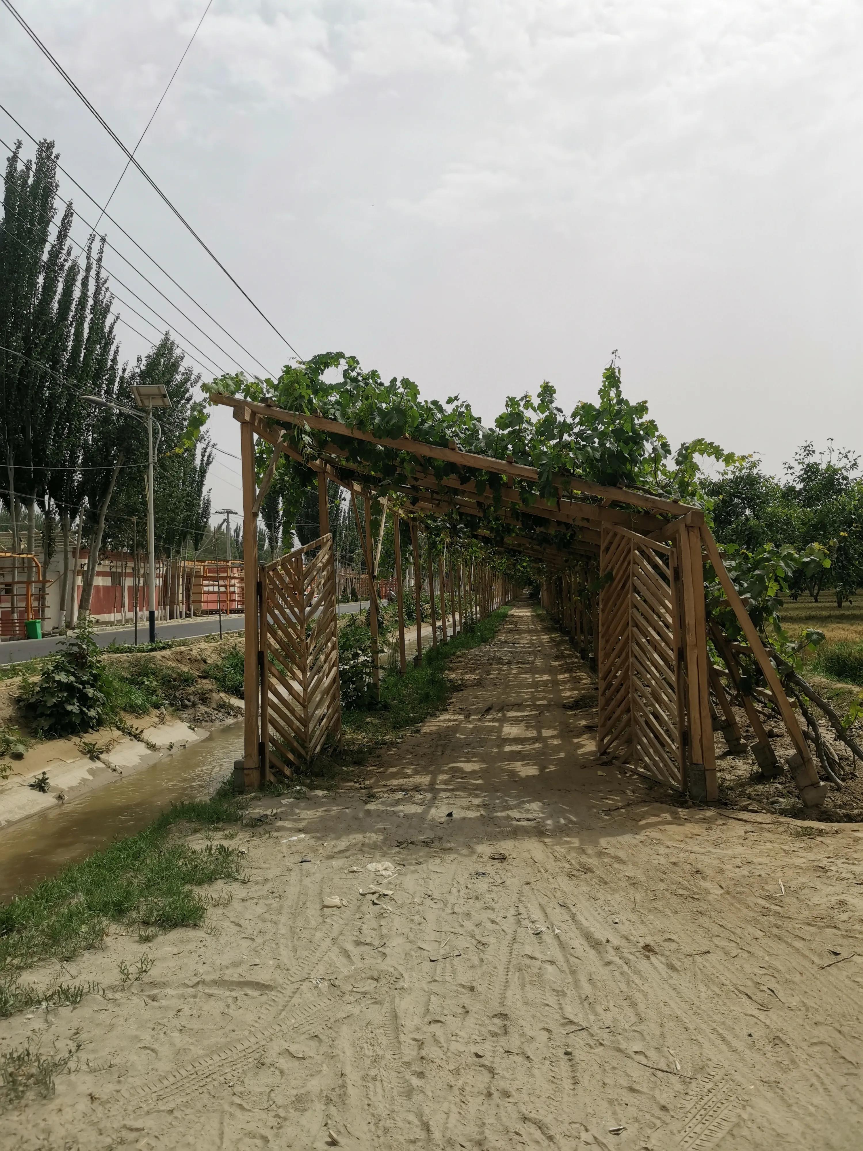 骑行新疆喀什噶尔,和田至阿拉尔沙漠公路骑行攻略