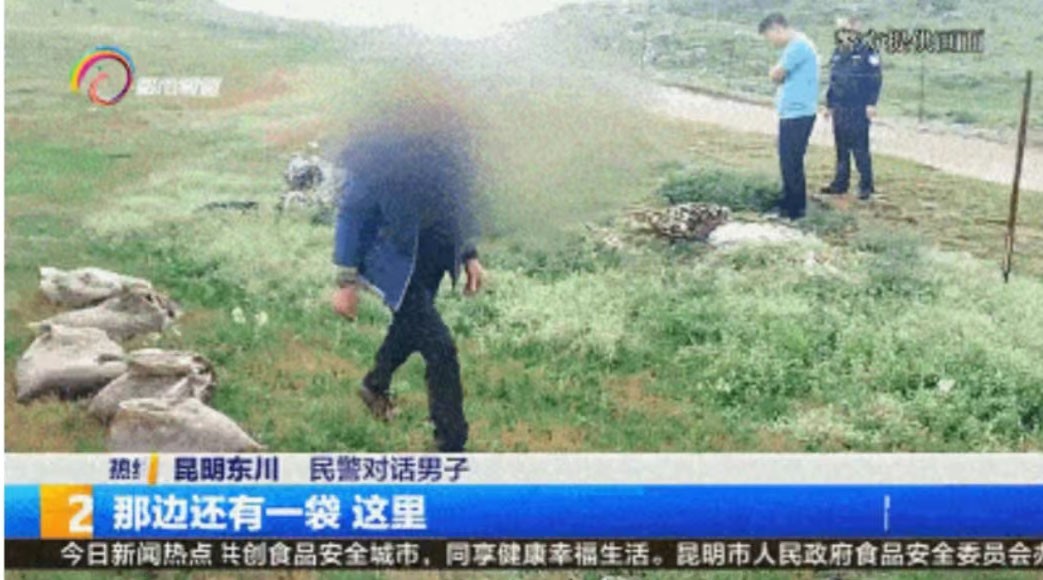 野生蚯蚓利益链从未终断？广东再现电蚯蚓，暴利下隐藏着什么危机