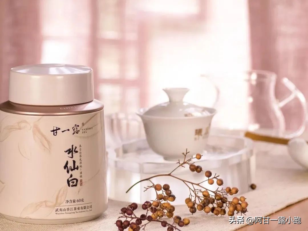 建阳小白茶现状,建瓯北苑贡茶的现状