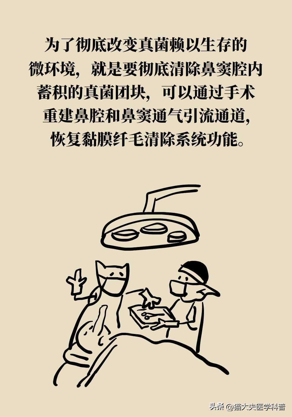 霉菌长什么样,鼻子里的霉菌图片