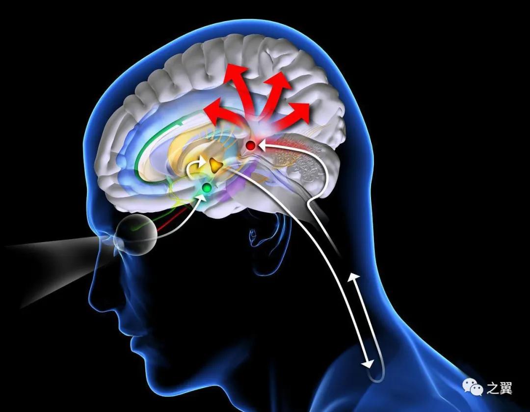 失眠教你3分钟入睡法,1分钟快速入睡的方法告别失眠