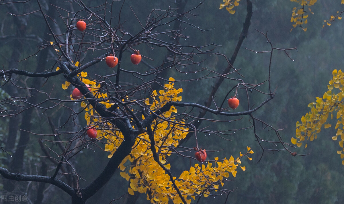 时光荏苒岁月如梭愿岁月静好,时光煮雨岁月逢花且行且从容