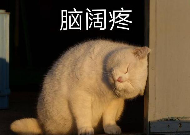 绛捐瘉闅惧姙鐞嗗悧,鎬庝箞鎵鹃潬璋辩殑绛捐瘉涓績