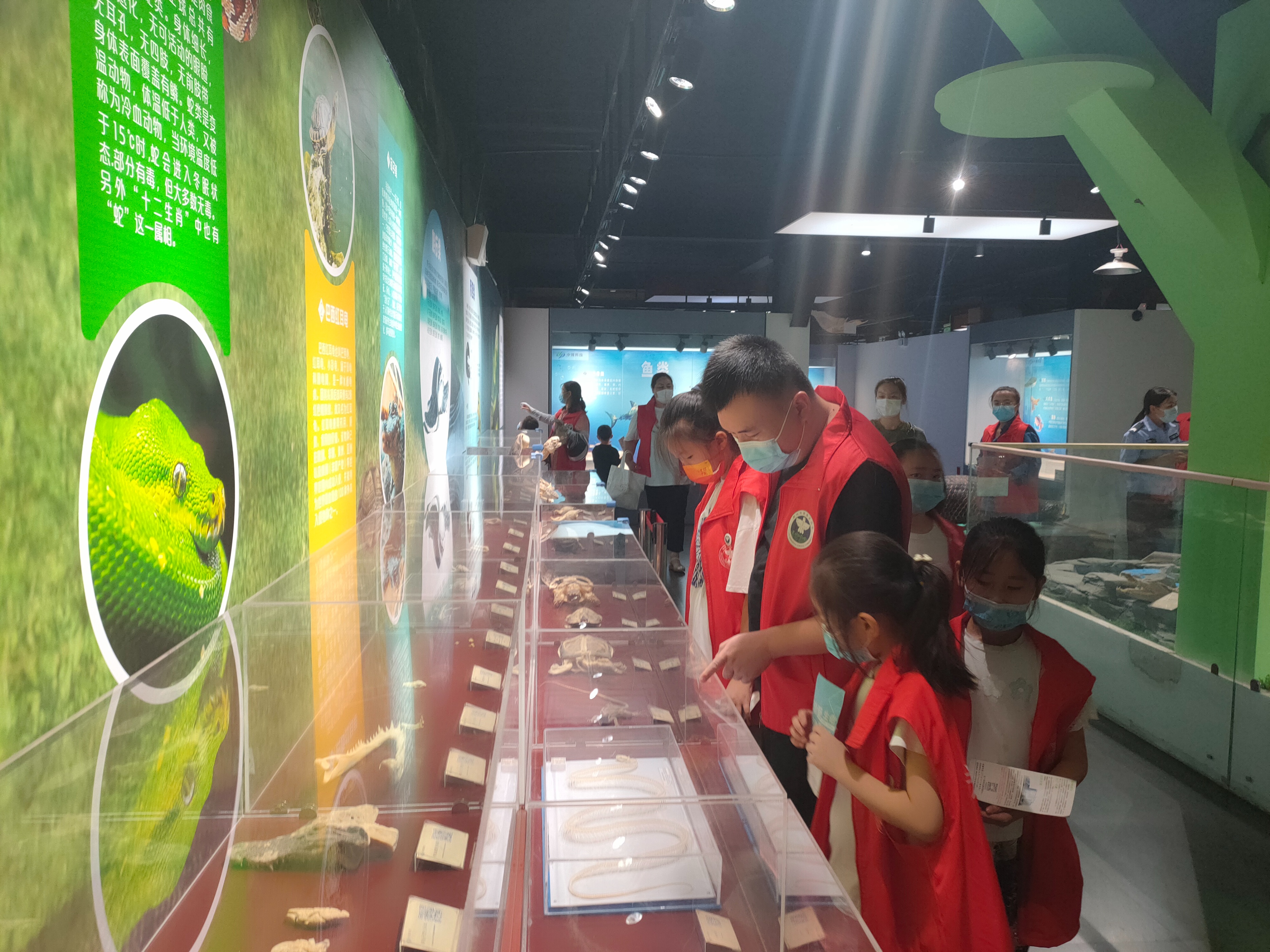 郑州博物馆讲解,郑州大鲵科普展馆