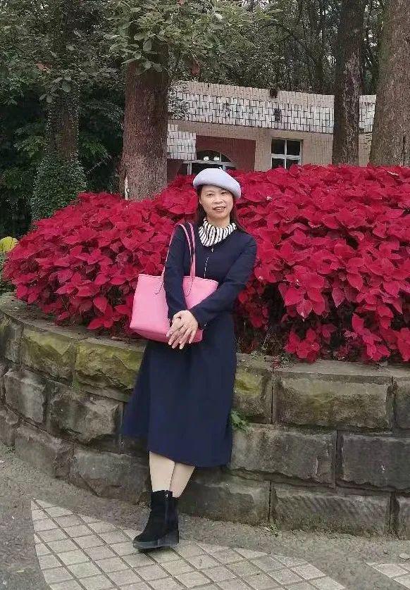 从一线老师到骨干教师的幼教故事,从新手教师到专家教师的成长历程