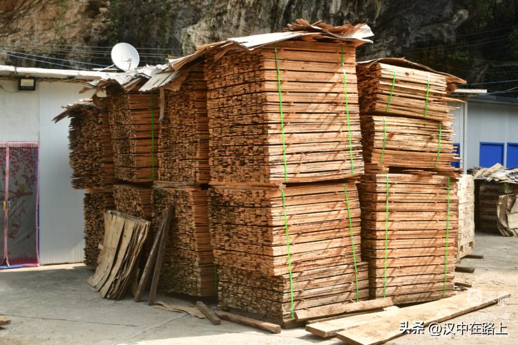 南峰心声,南峰情头