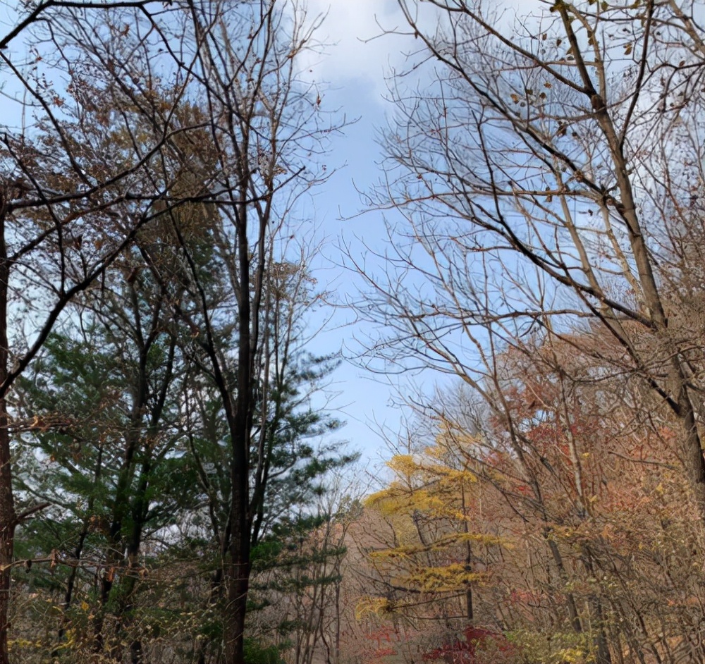 固特异轮胎质保范围,固特异轮胎安全性