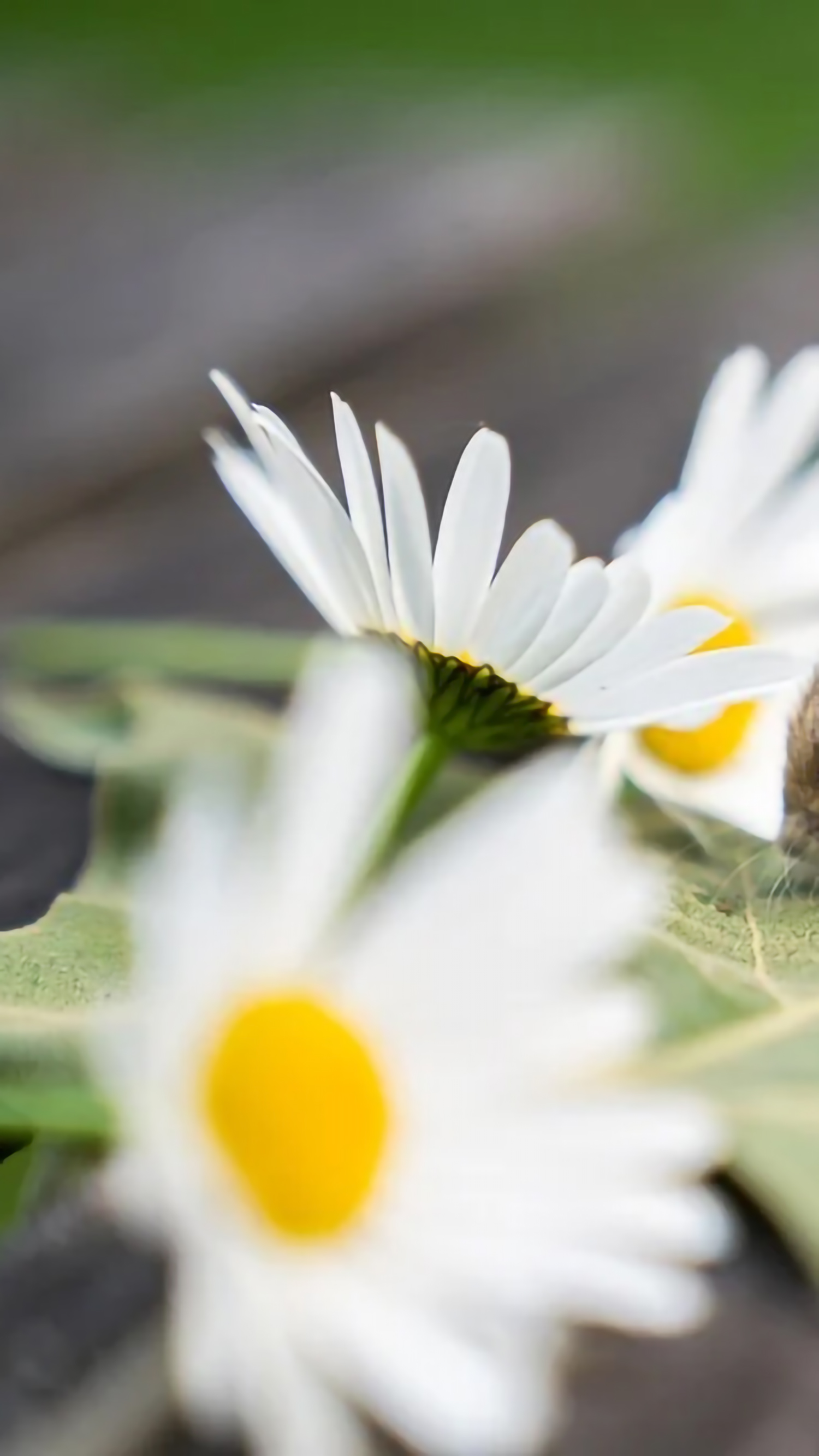 好看的手机桌面壁纸和锁屏壁纸,总有一张壁纸适合你手机屏保精选