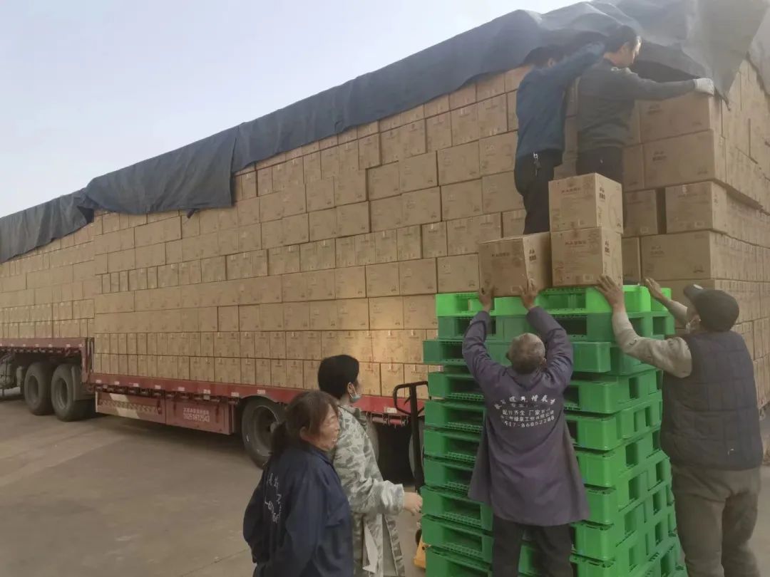 增力公司全力以赴，打响2023新春营销第一枪！