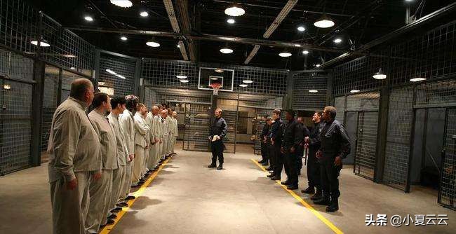 有趣的心理实验测试,有趣的心理学实验