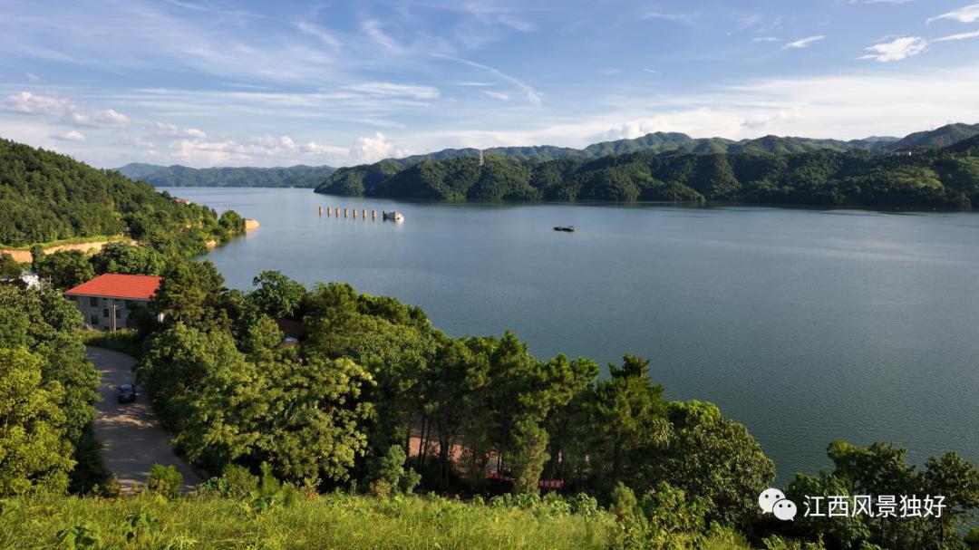 朱虹解读,朱虹讲述