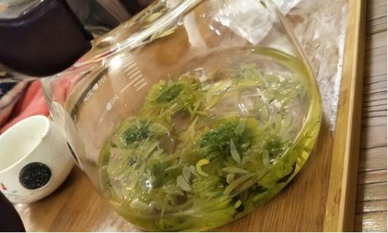 入秋能喝菊花茶吗,立秋可以喝枸杞菊花茶吗