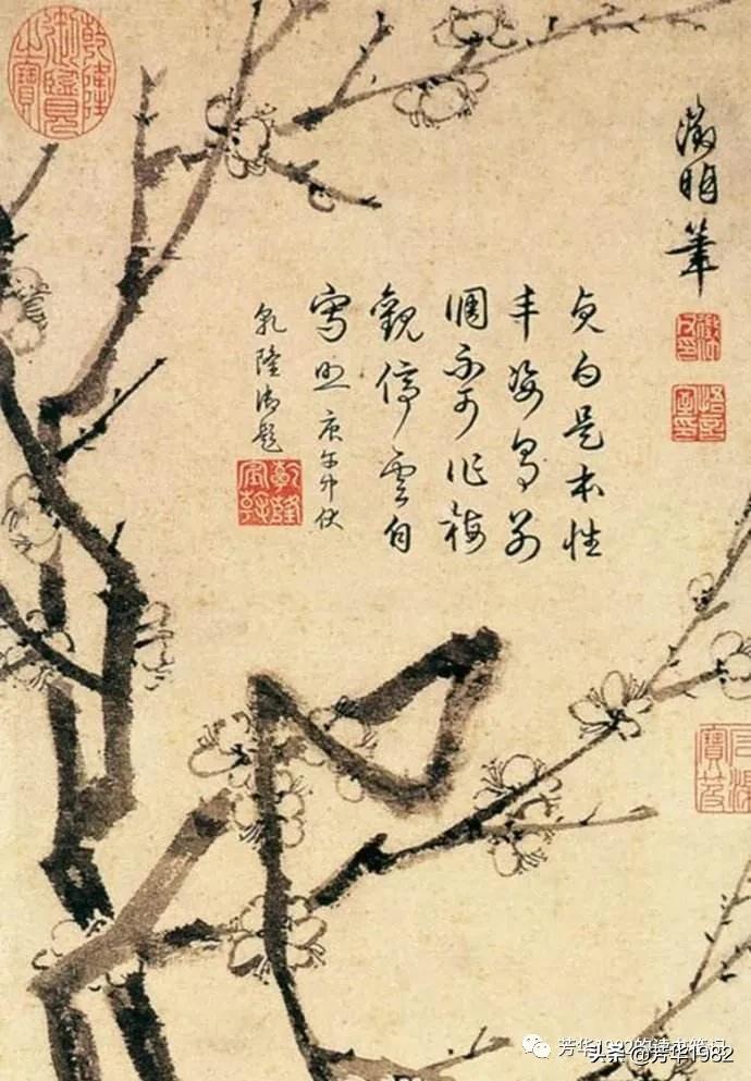 梅花图简介,历代名家梅花图