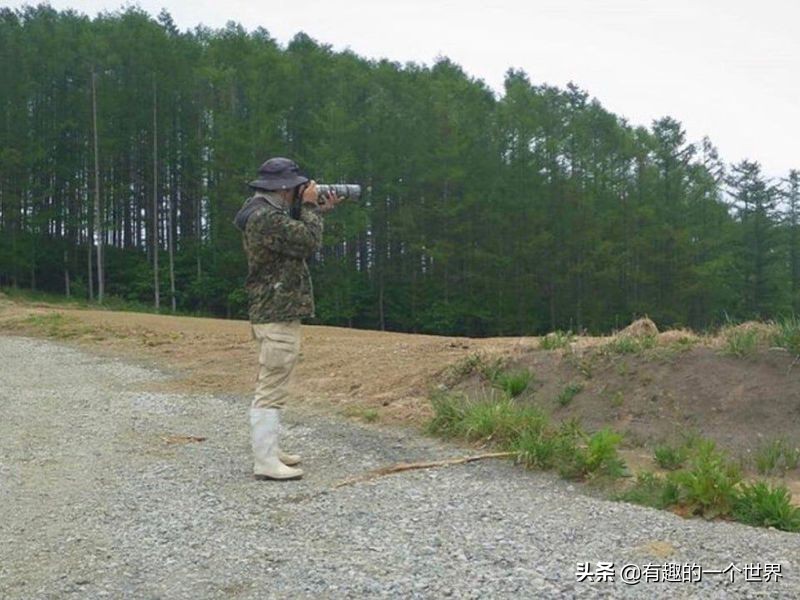 偶然记录的33个瞬间，初看很困惑，看懂后又觉得很妙