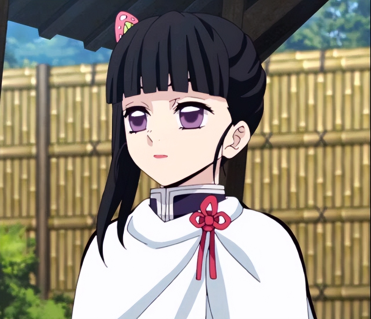 鬼灭之刃：蝶屋姐妹们的眼睛各具特色，你最喜欢谁的眼睛呢？