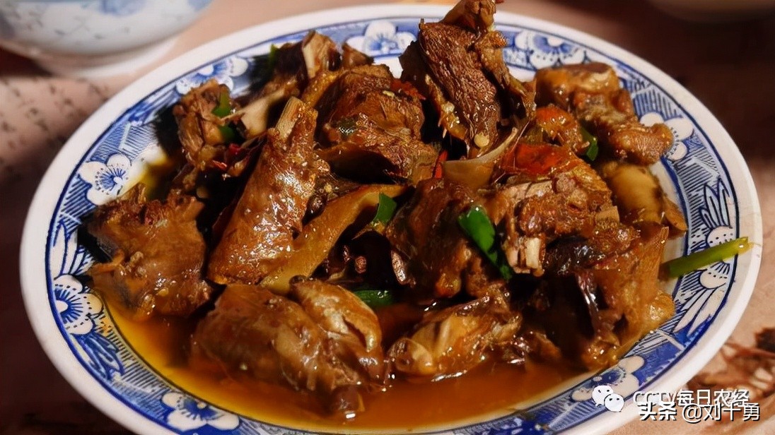 人间美味的动物有哪些,大雁做法和营养价值