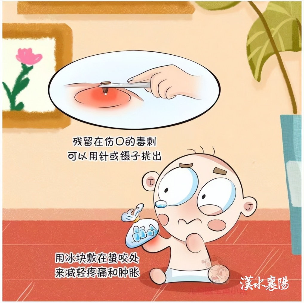 被蜂蜇伤后的4个自救方法,被黄蜂蛰伤应第一时间怎么处理