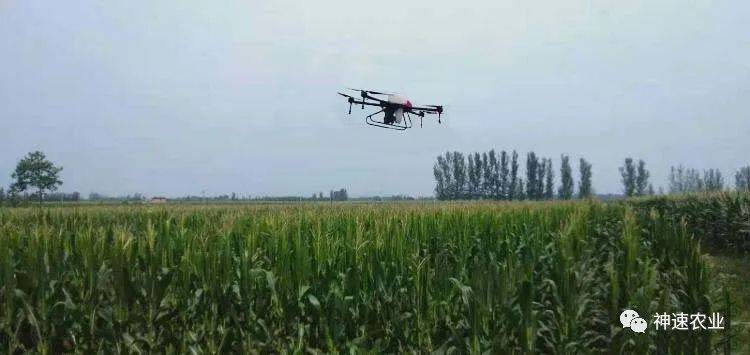 高效现代农业种植常用解决方案,农业种植新技术视频集锦