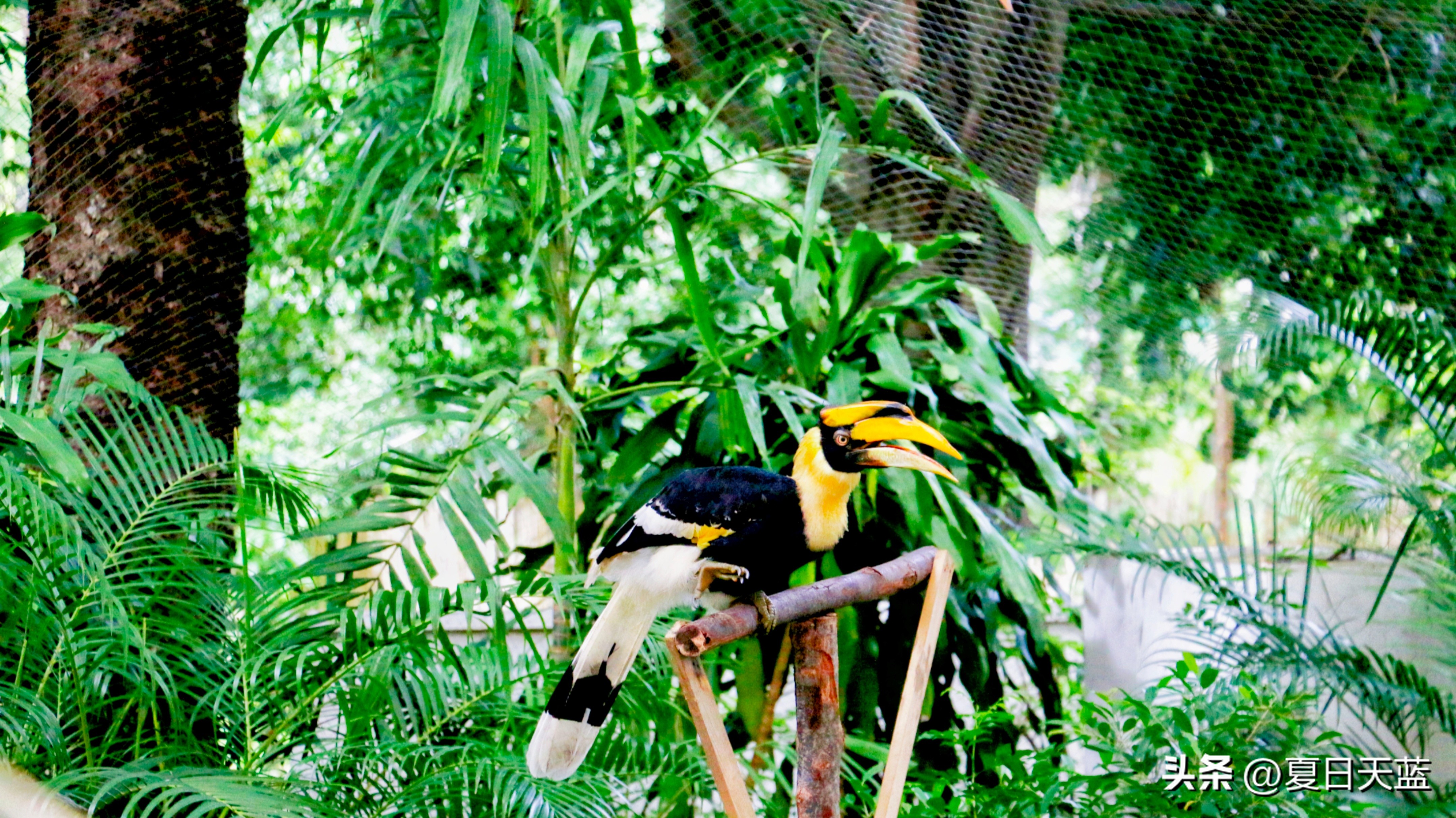 行走东南亚泰国,豪华不一样的东南亚之旅了解一下