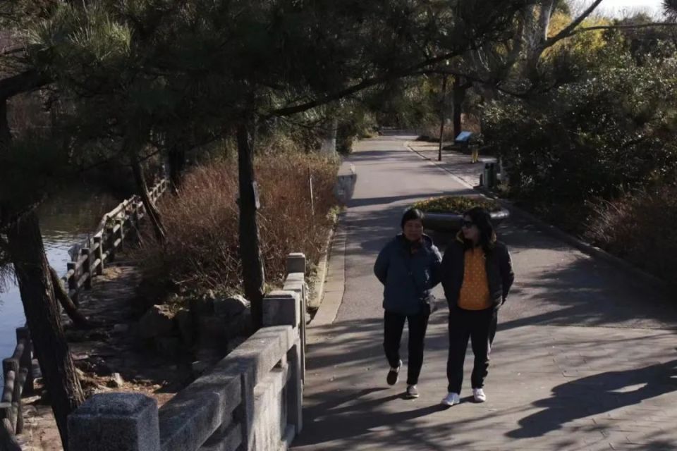 王慧玲人生没有白走的路,基层女性王慧玲情绪价值