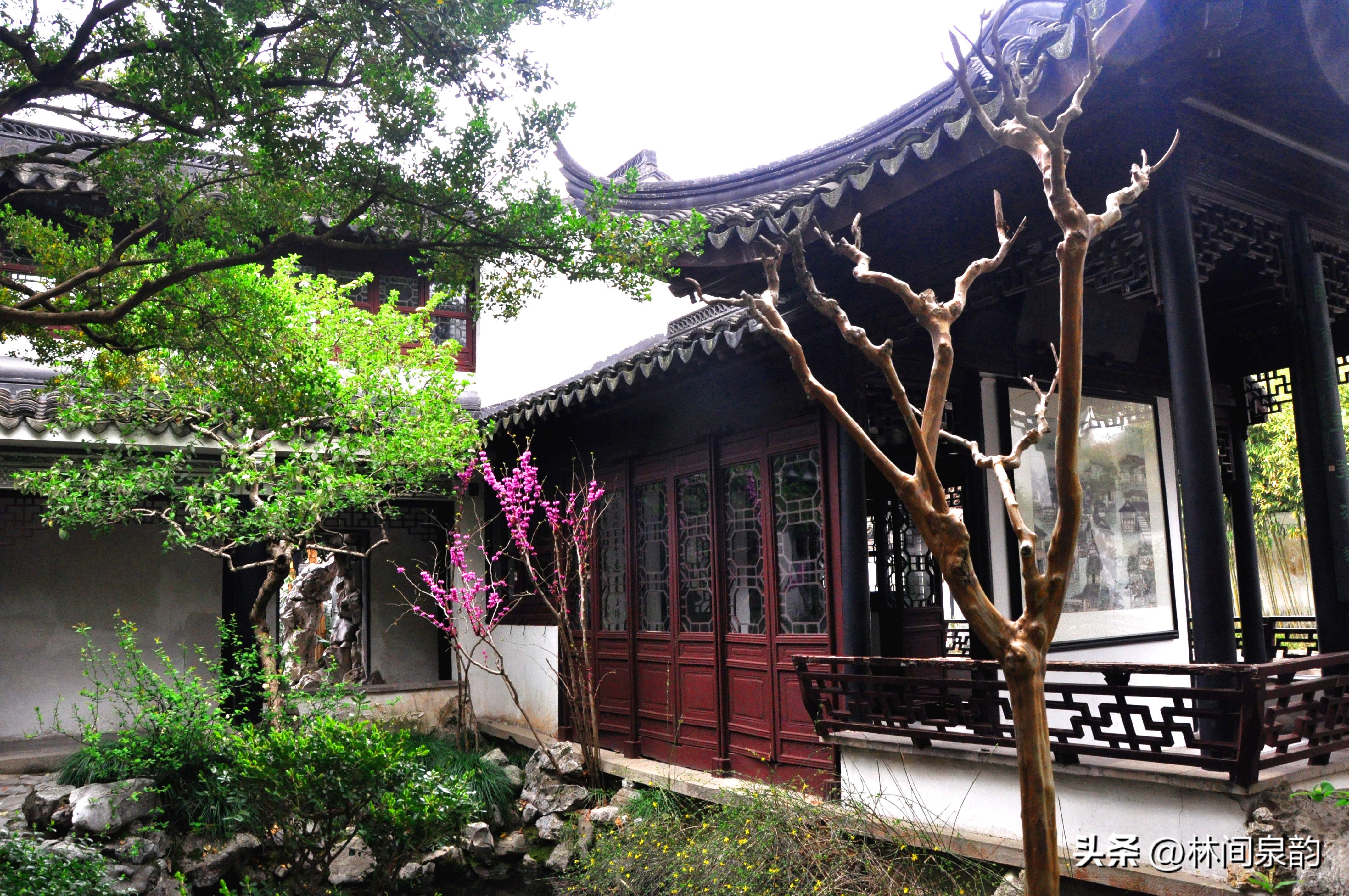 曲水园简介和历史,中国四大名园之首的拙政园