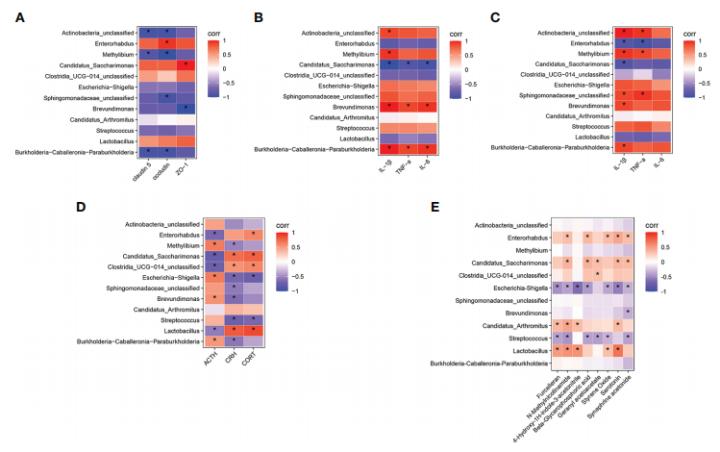 百趣代谢组学分享:针灸改善乳腺癌相关性疲劳!非靶代谢组学…