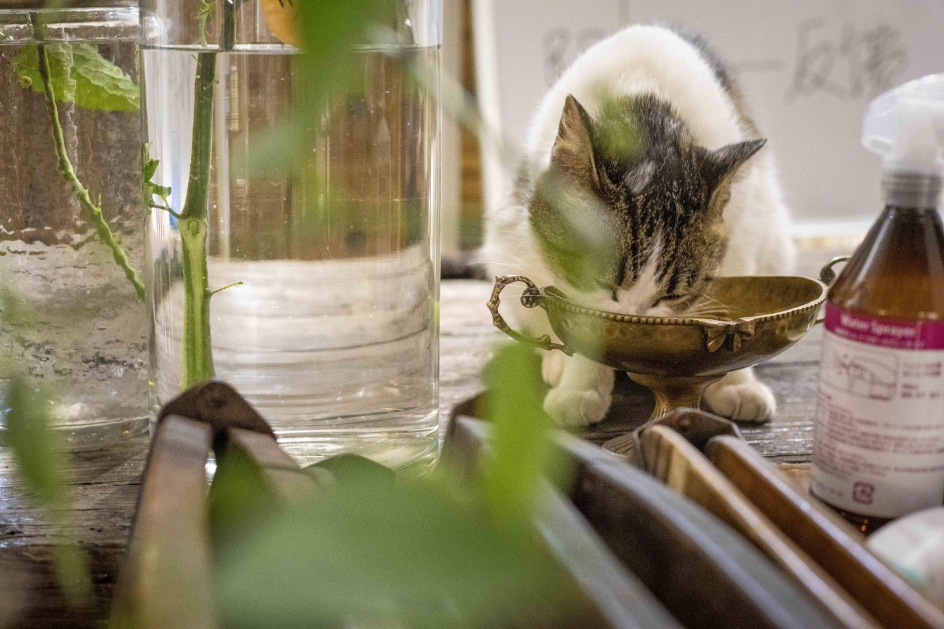 长沙最有特色的咖啡馆在哪里,长沙风景特别好的咖啡馆