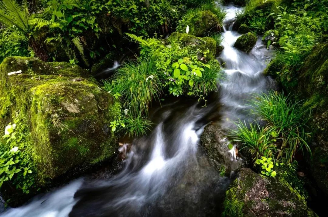 黑竹沟火把节现场视频,黑竹沟晚会