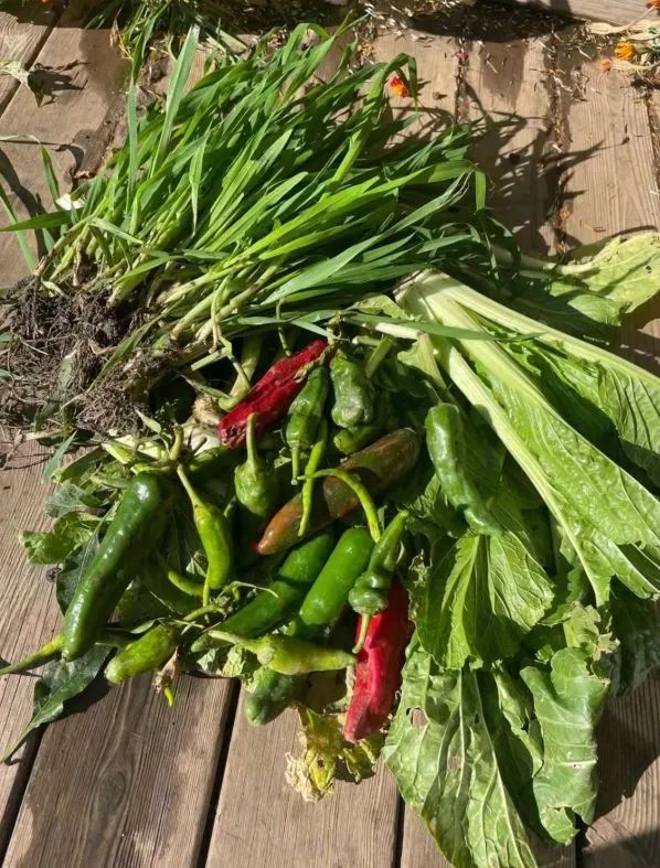 食物故事纪录片,食物故事大全完整版