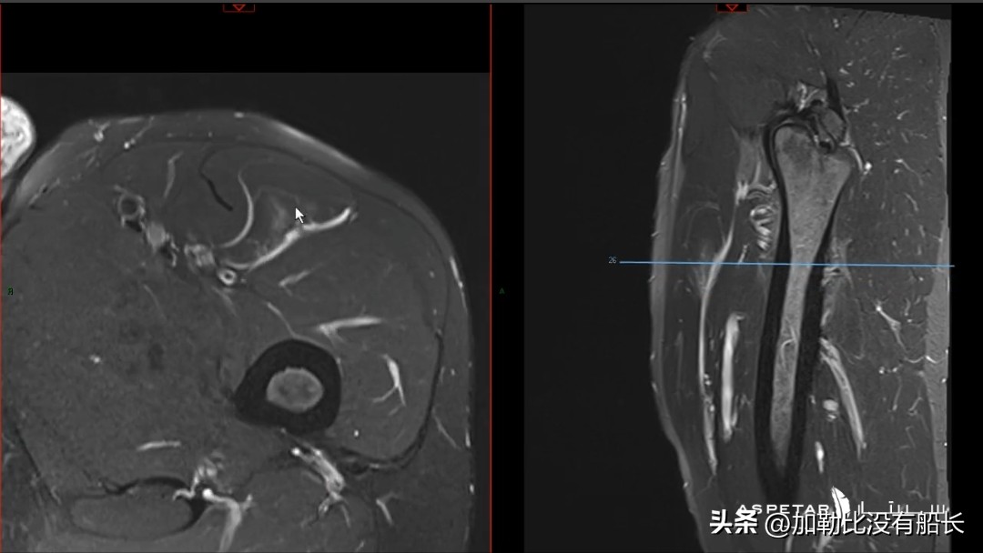 哪些球队无缘世界杯感到遗憾,没有参加过世界杯的10大巨星