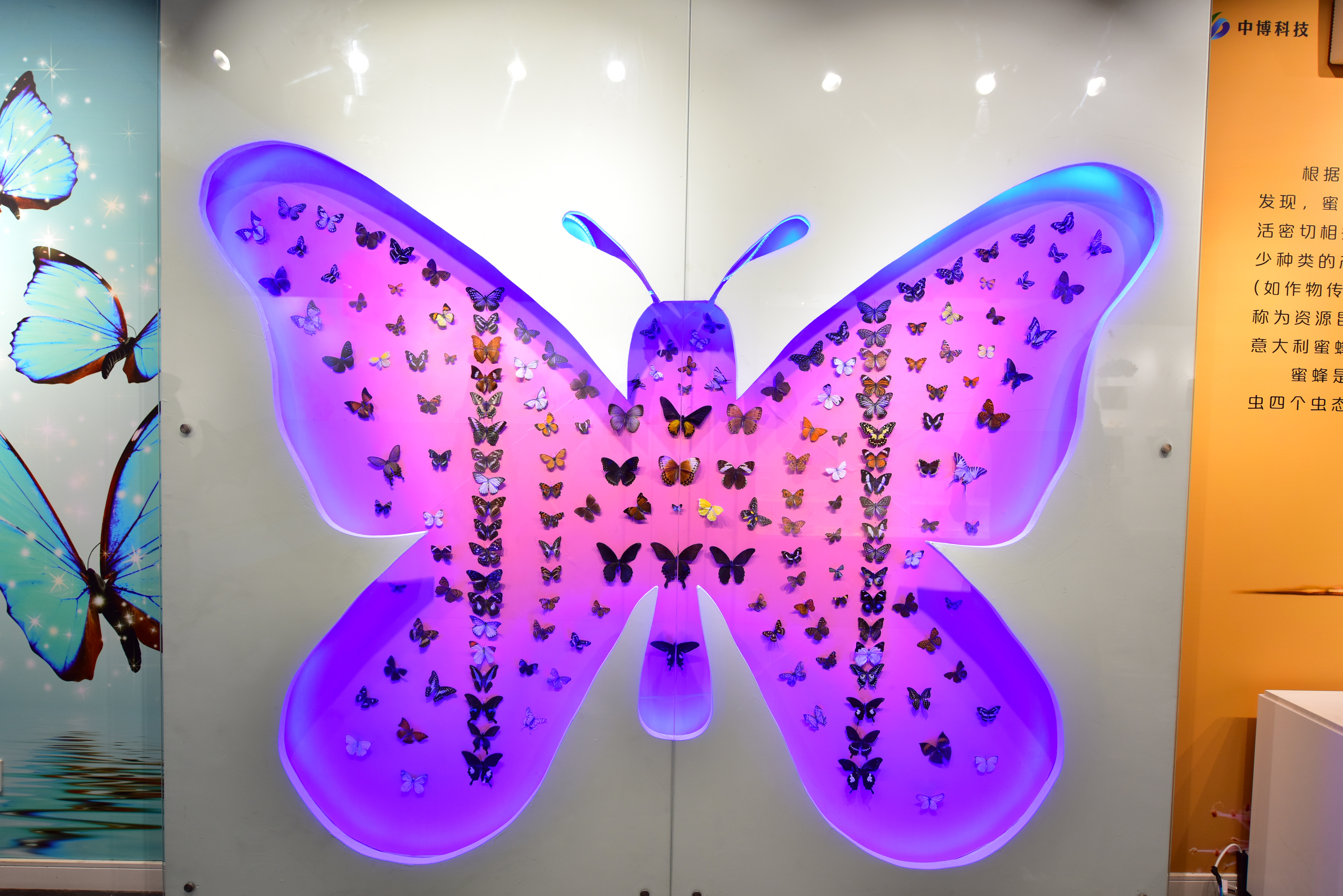 郑州遛娃免费景点大全,郑州市区免费遛娃好去处