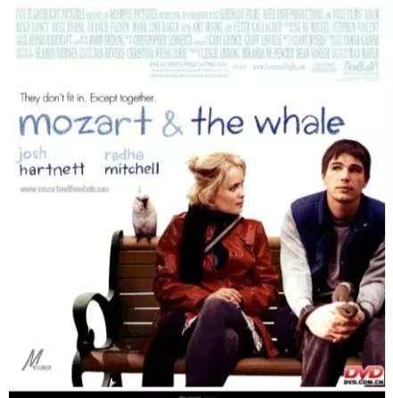 六部自闭症类题材电影推荐,自闭症电影解说