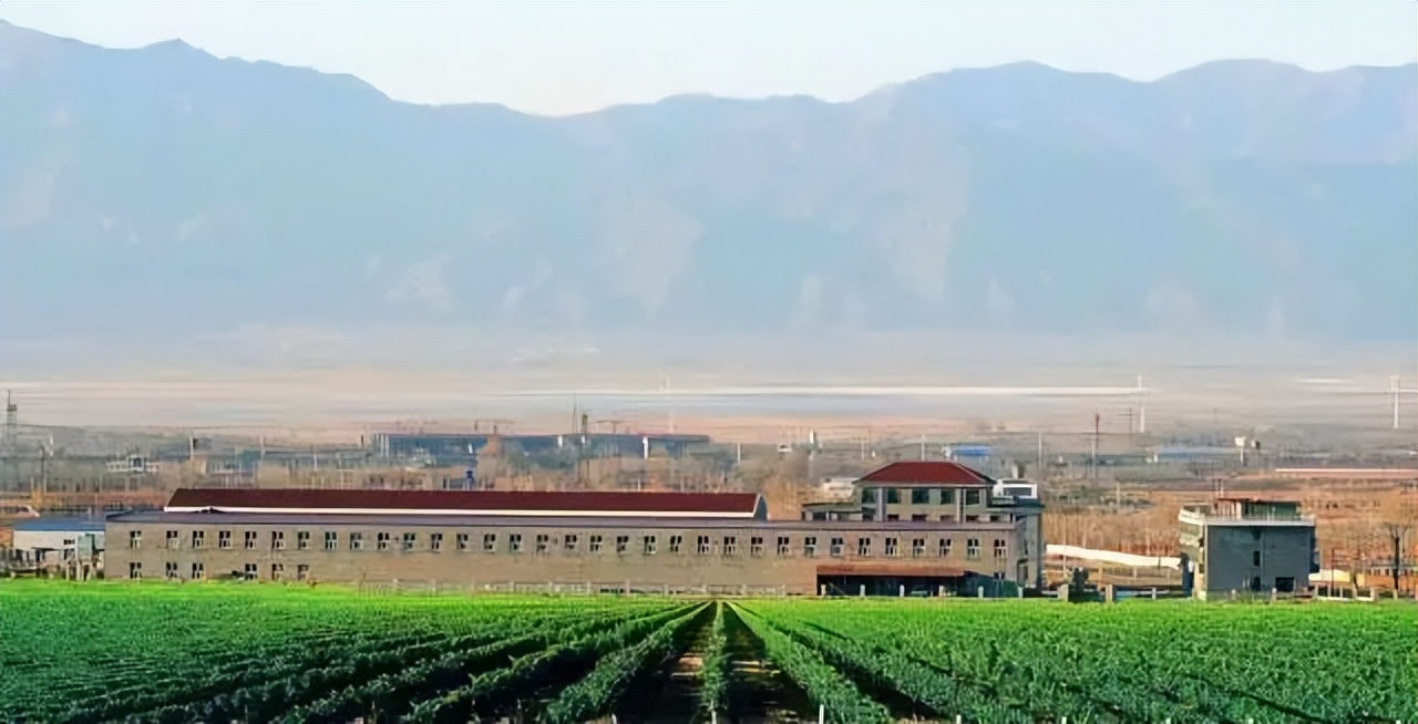 北京葡萄酒产区有哪些,离北京最近的河北地区