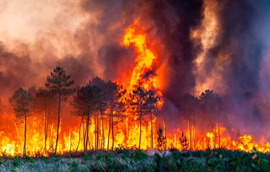 英国40度高温与中国40度高温,英国40度很热吗