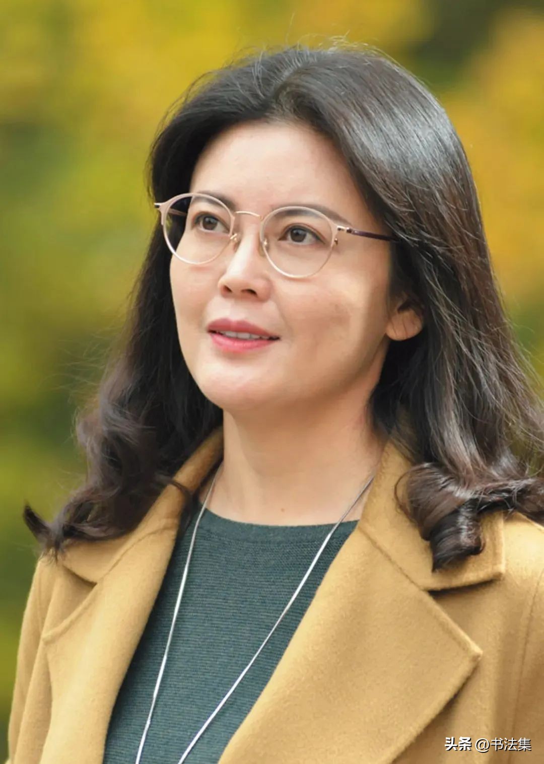 百卉争春——中国书协第八届女书家委员会委员作品选刊