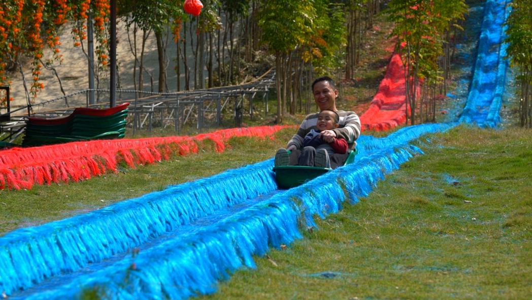 周末踏青好去处油菜花田,近期花海一日游最佳去处