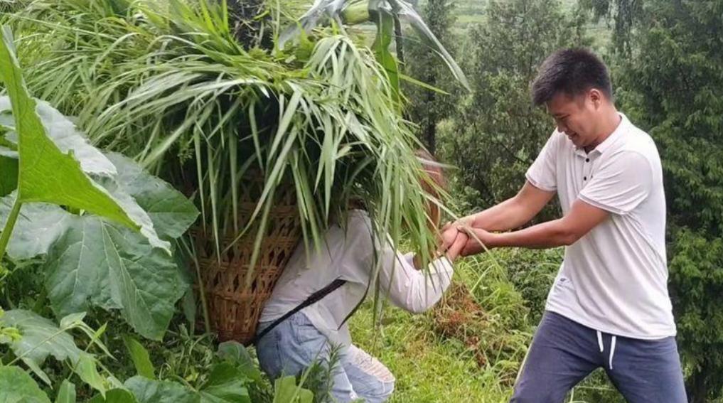 治疗癌症老中医被判刑,民间中医治好癌症被判刑3年