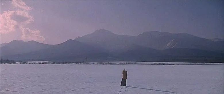 2020年的56个瞬间,我见过一场海啸