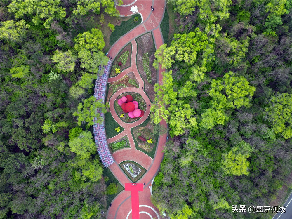 沈阳世博园金秋美景,沈阳世博园一日游详细攻略