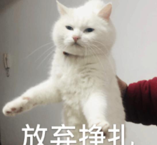 回顾：目瞪口呆！半夜两点，她拍了一张裸照并发送给陌生男人