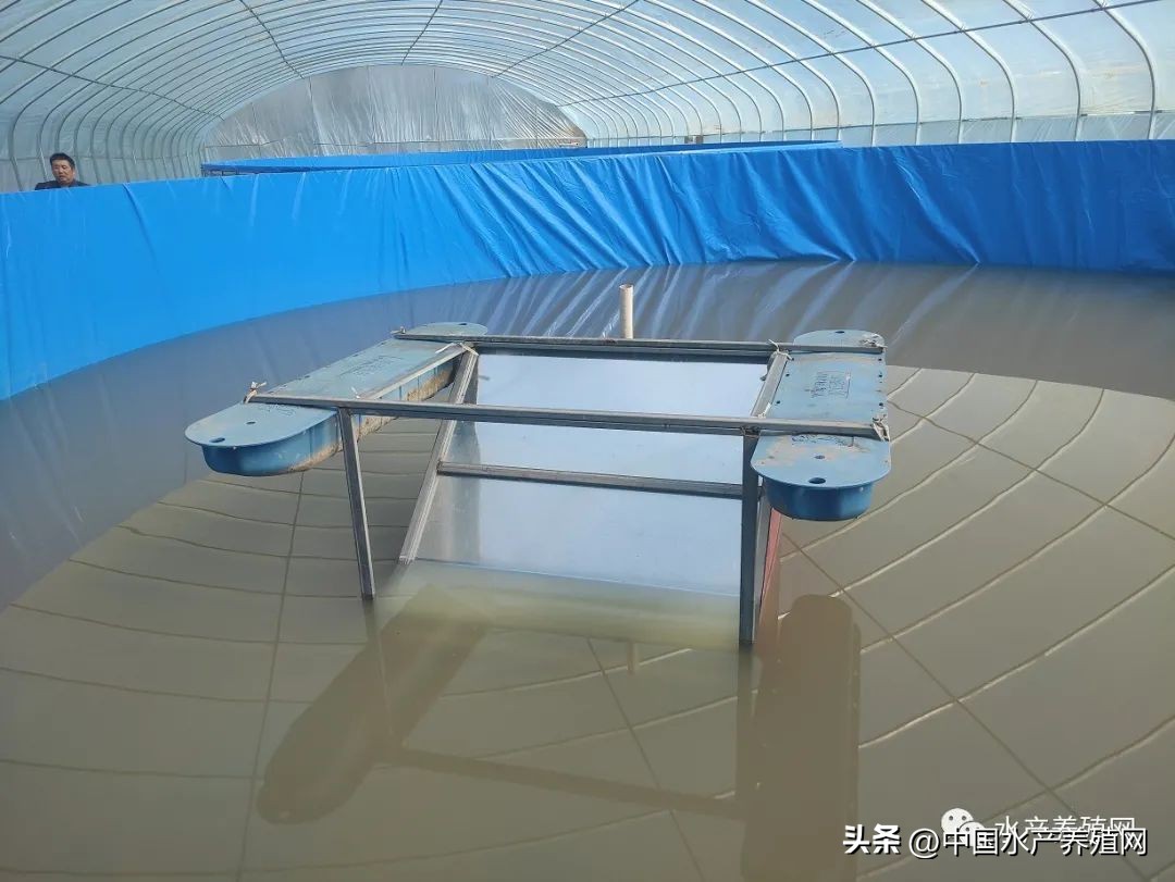 养殖遇困境六种模式帮您找出路,最坑人的50个养殖常识