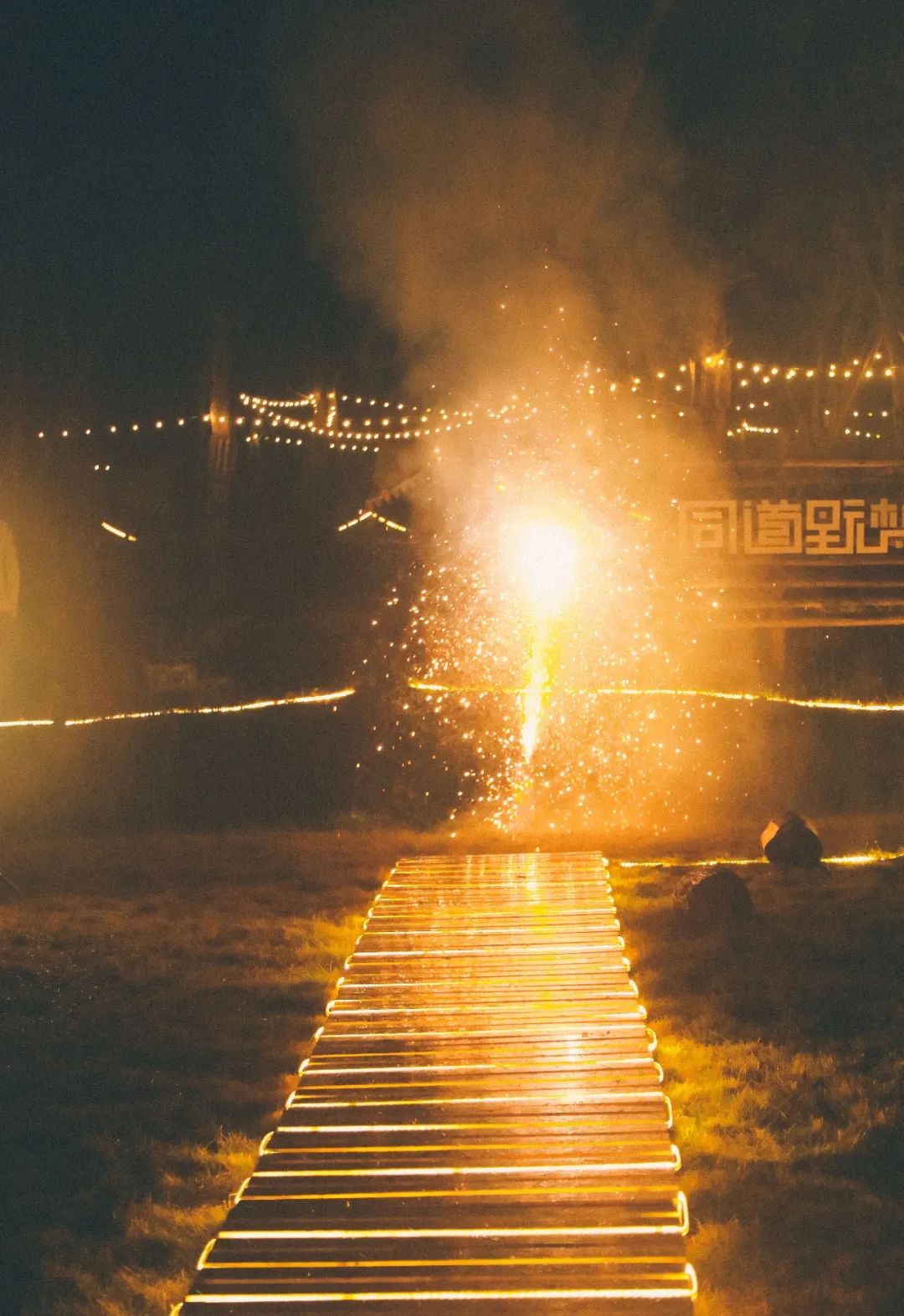 萌宠万圣狂欢夜,萌宠露营云龙区