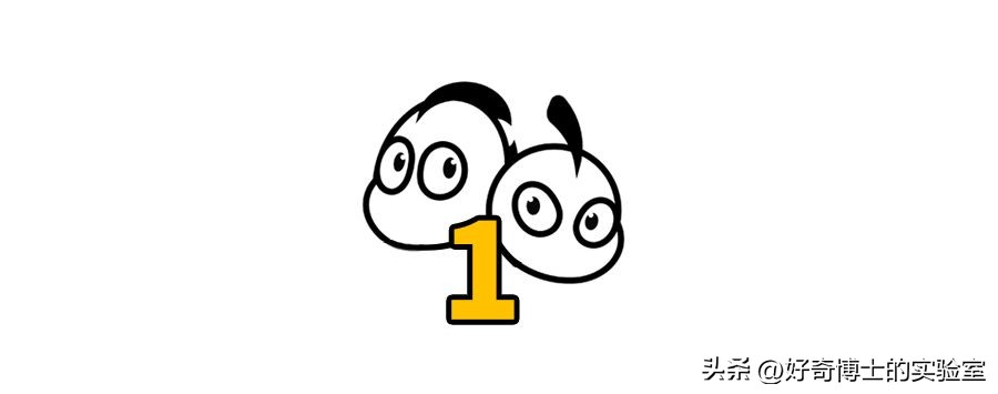 沉浸式体验死囚的最后24小时,尸体火化的真实故事