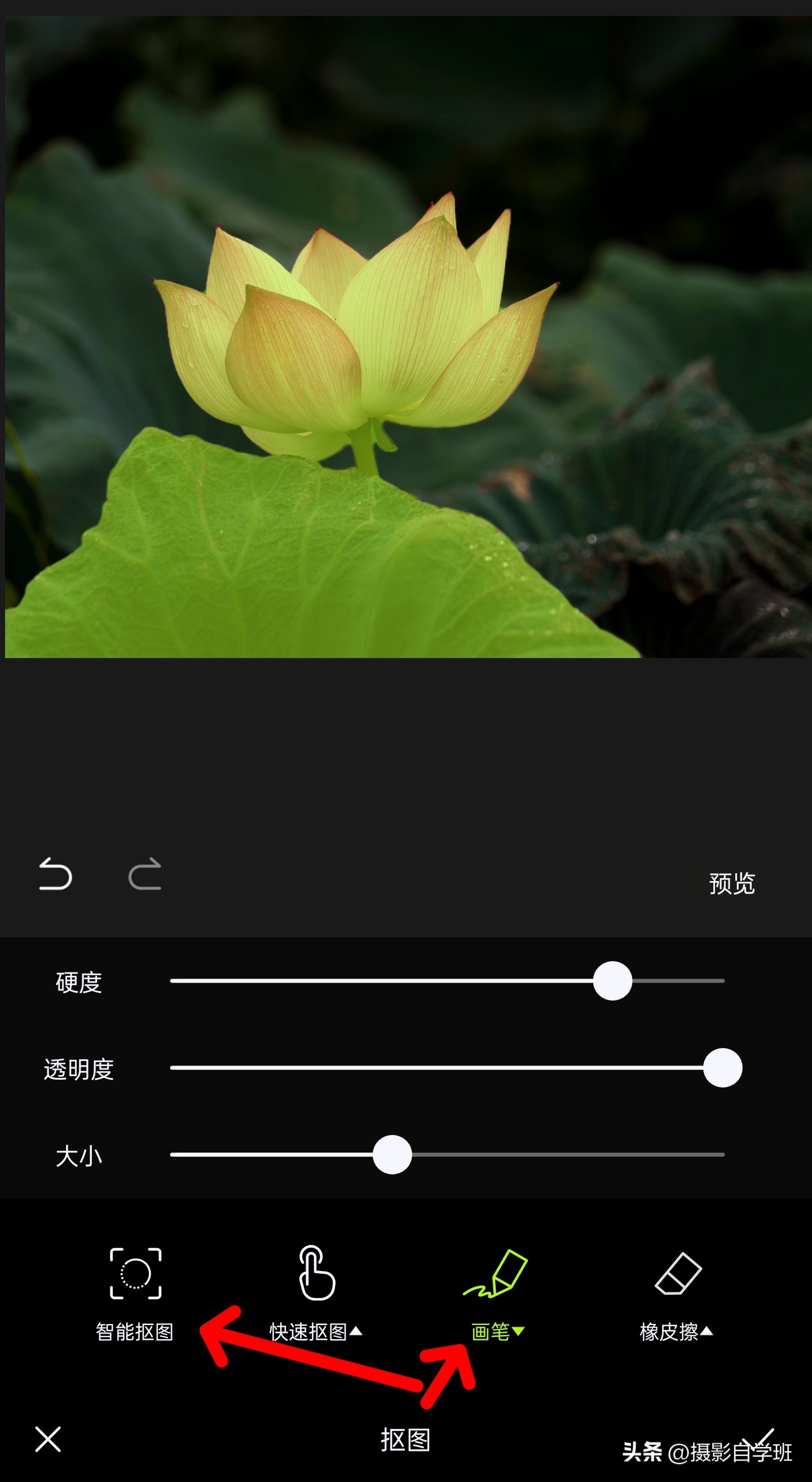 如何拍摄荷花多重曝光相片,如何拍好荷花逆光照片