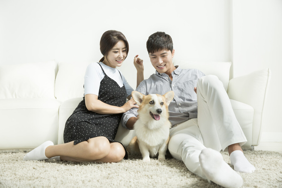 丁克与丁克族,丁克家庭对国家影响