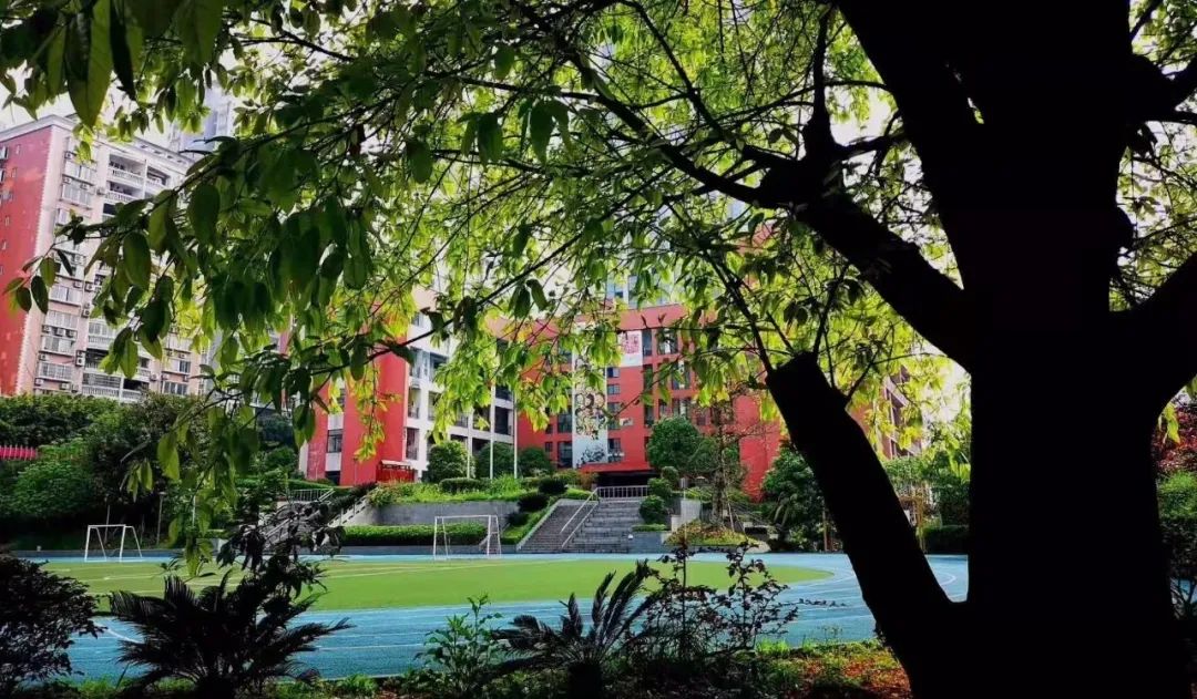 重庆合并区县规划2020,重庆集团化办学是什么意思