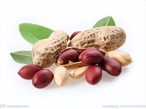 花生期货新手入门,花生期货2210