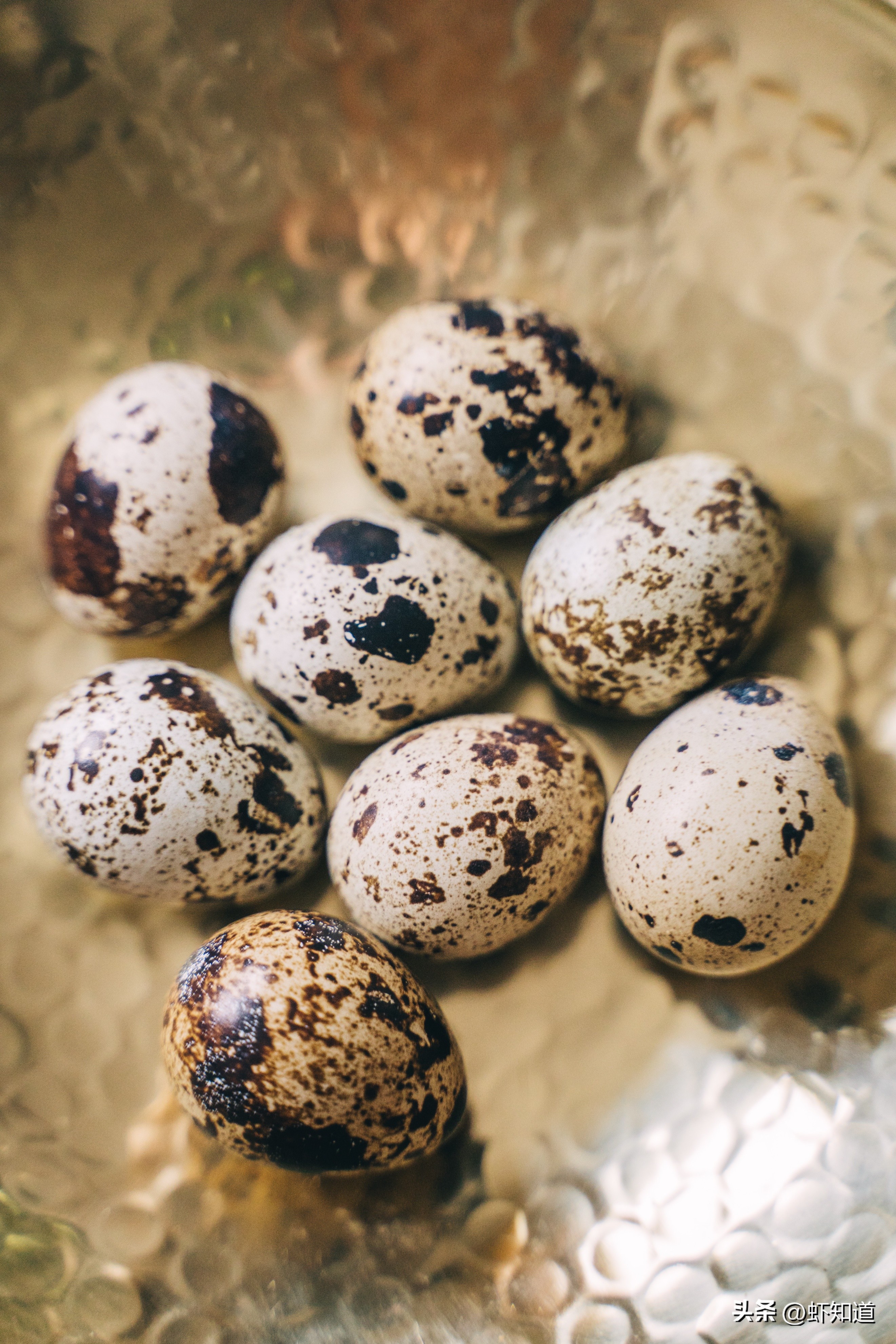 哪种蛋营养高质量高,鸡蛋蛋白质的营养价值最高