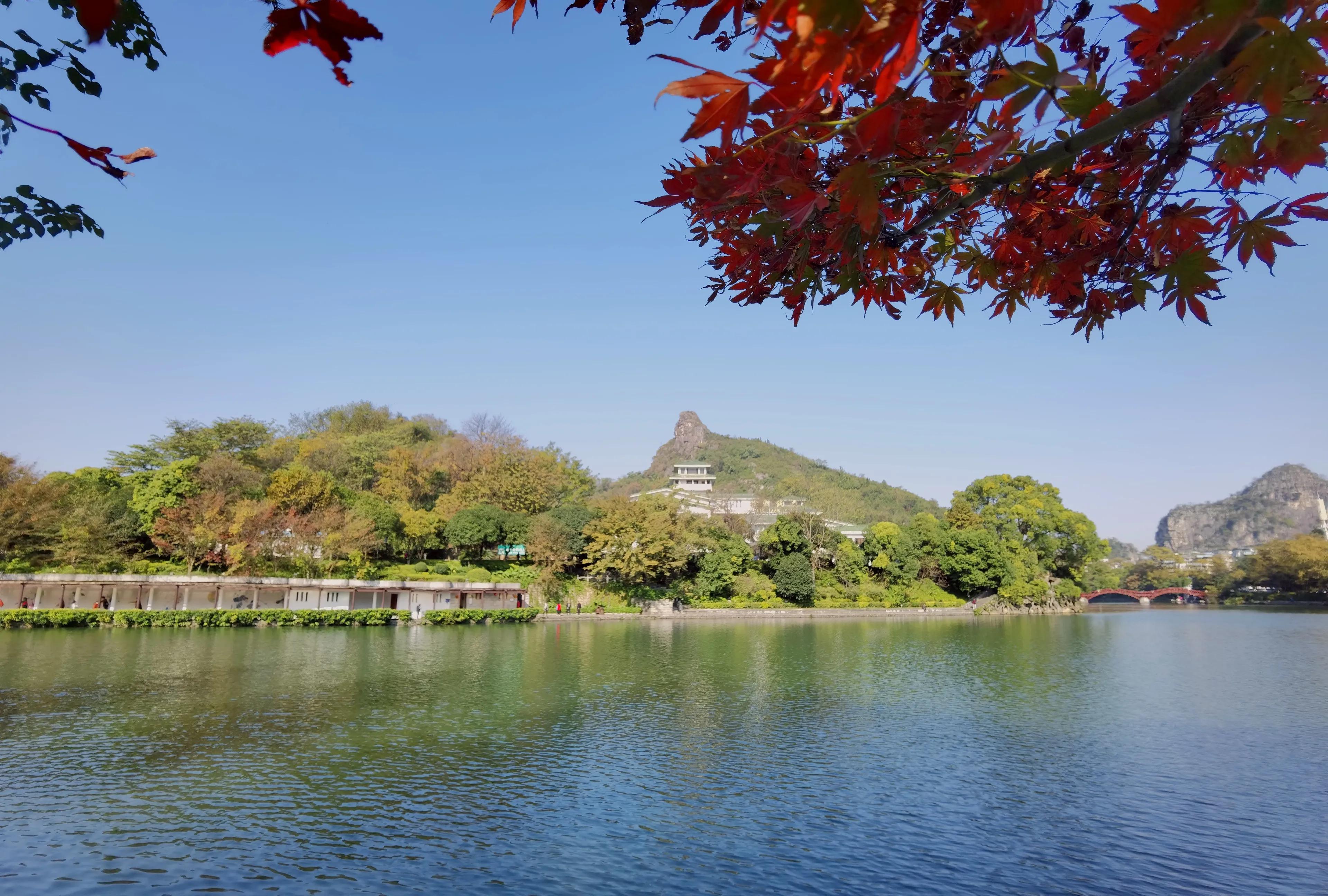 桂林的桂湖在哪里,桂林两江四湖之桂湖