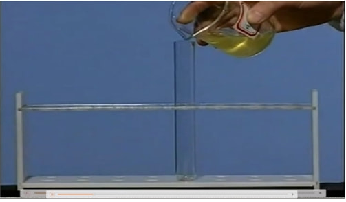 青岛第五十三中学新校区,青岛第五十三中学初中部